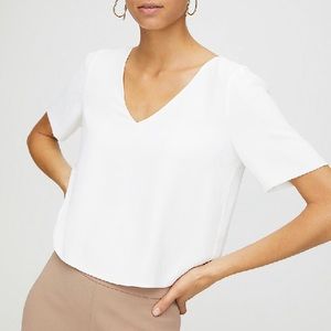 Aritzia Babaton Randy blouse